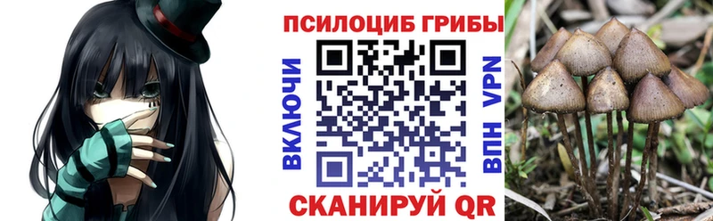 Псилоцибиновые грибы Psilocybe  Асино 